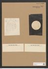 Diatomeae indet. Zeichnungen Sammlung Grunow Nr. 5068 (NHMW-BOT-W0373336)